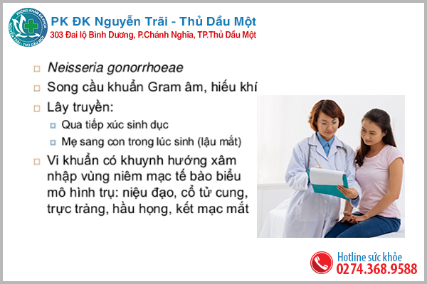 Neisseria gonorrhoeae chính là nguyên nhân gây ra bệnh lậu