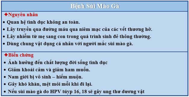 Nguyên nhân gây sùi mào gà ở nữ