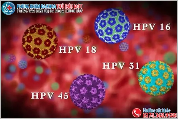HPV (Human papilloma virus)